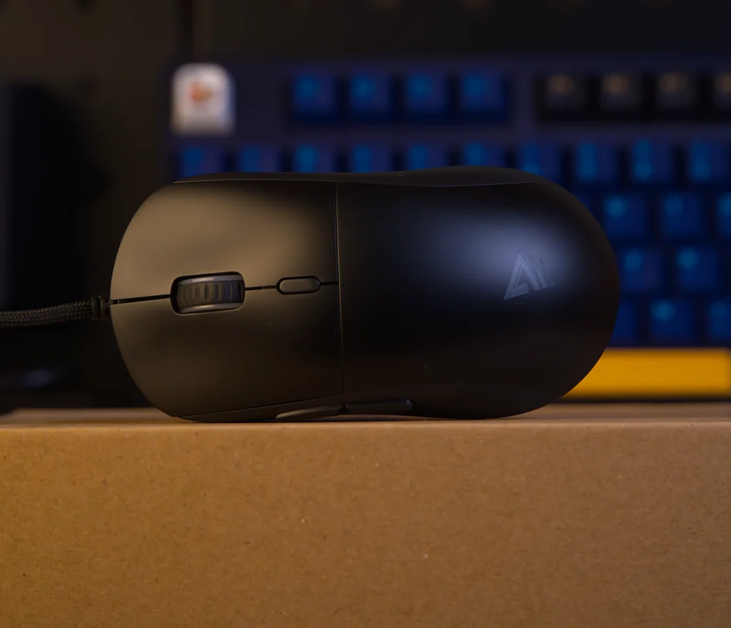 Savio Gambit - góra