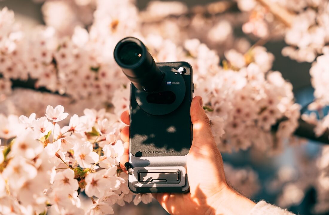 smartfon vivo.jpg